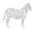 Vector coloring book for children and adults with striped cute zebra. White and black striped horse in the wild. Studying animals