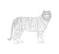 Vector coloring book for children and adults with a striped tiger. Predatory mammals, felids, representatives of the panther genus Royalty Free Stock Photo