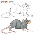 Vector Coloring book for children with rat.