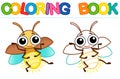 Vector coloring Insect for children coloring book. Funny firefly in a cartoon style