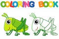 Vector coloring Insect for children coloring book. Funny grasshopper in a cartoon style Royalty Free Stock Photo