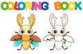 Vector coloring Insect for children coloring book. Funny stag beetle in a cartoon style