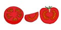 Vector colour sketch of cut tomatos doodle style. hand drawn Royalty Free Stock Photo