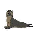 Vector Common or ringed seal lying, looking at the camera. Doodle cartoon outline animal from sea or ocean is isolated on white