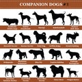 Vector companion dogs silhouettes 2