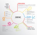 Vector Company infographic overview design template