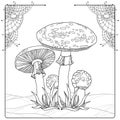 Vector composition with Amanita or Fly agaric mushroom isolated on white. Outline poisonous red-cup mushroom in line art decor.