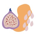 Vector composition with figs and abstraction. Cute fruit for t shirt print, poster, logo, postcards, label or card. Editable Royalty Free Stock Photo