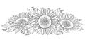 Vector composition with outline open Sunflower or Helianthus flower and leaves isolated on white background. Floral elements.