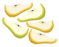 Vector composition of slices of green and yellow pears.