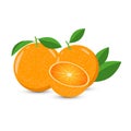 Vector composition of whole and half of an orange decorated with green leaves on a white background. Royalty Free Stock Photo