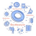 Vector concept of bacteria and viruses - erythrocyte icon Royalty Free Stock Photo