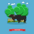 Vector concept poster of beef farm. Grazing cattle on a pasture Royalty Free Stock Photo