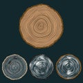 Vector conceptual background with tree-rings