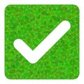 Vector Confirmation Checkbox Lowpoly Icon