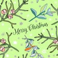 Vector conifer twigs, christmas decorative seamless patterns, green nature background