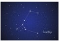Constellation of Canis Major