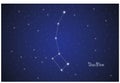 Constellation of Ursa minor