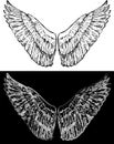 Vector contour drawing of black and white abstract fantasy wings Royalty Free Stock Photo