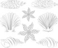 Vector contour drawing of set various decorative sea shells Royalty Free Stock Photo