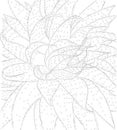 Vector Contour Illustration of Cactus with Spines for Coloring Book