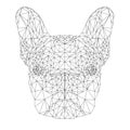 Vector Contour Illustration of French Bulldog in Low Poly Style