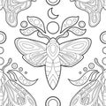 Vector contour mystical seamless pattern with moths, leaves and moons on white background. Gentle monochrome texture with Royalty Free Stock Photo