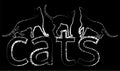 Vector outline drawings of abstract silhouettes domestic cats on the letters