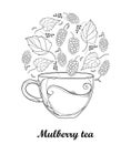 Vector contour transparency cup of Mulberry or Morus herbal tea isolated on white background. Floral elements with Mulberry.