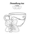 Vector contour transparency cup of Strawberry herbal tea. Fruit elements with outline berry, flower and leaves in black isolated.