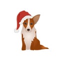 Vector Corgi in Christmas Hat, Colorful Illustration Isolated, Paper Art Style.