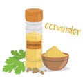 Vector coriander illustration isolated in cartoon style.