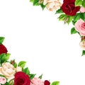 Background with pink, burgundy and white roses. Vector illustration.