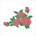 vector corner background with red roses, isolated Royalty Free Stock Photo