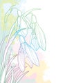 Vector corner bouquet of ornate outline Snowdrop or Galanthus flowers and leaf in pastel pink, blue and green on the white. Royalty Free Stock Photo