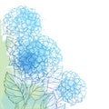 Vector corner bouquet of outline Hydrangea or Hortensia flower bunch and ornate foliage in blue and green on the pastel back.