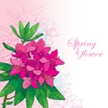 Vector corner bouquet with outline pink Rhododendron or Alpine rose flower on the pastel background.