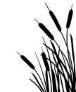 Vector corner bunch of Bulrush or reed or cattail or typha leaves silhouette in black isolated on white background. Royalty Free Stock Photo
