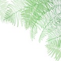 Vector corner composition of outline fossil forest plant Fern with frond in pastel green colored isolated on white background.