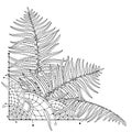 Vector corner composition of outline fossil forest plant Fern with fronds in black isolated on white background. Royalty Free Stock Photo