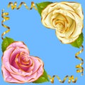 Vector Corner vignette. Pink and White Rose and Golden Ribbons Royalty Free Stock Photo