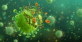 Vector of Coronavirus 2019-nCoV and Virus background with virus destruction.COVID-19 Corona virus outbreaking and Corona Virus