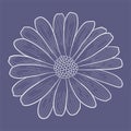 Vector cortular decorative flower. Light element on a dark purple background Royalty Free Stock Photo