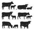 Vector cow and calf black silhouettes Royalty Free Stock Photo