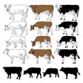 Vector cow set Royalty Free Stock Photo