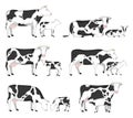 Vector cows and calves Royalty Free Stock Photo