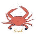 Vector crab silhouette. Isolated coral crab with air traps on white background. Icon crab for your design label, logo, print Royalty Free Stock Photo