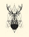 Deer head with triangle background.