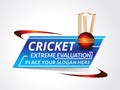 Vector Cricket Background Illustration Royalty Free Stock Photo