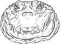 Crokodile head Royalty Free Stock Photo